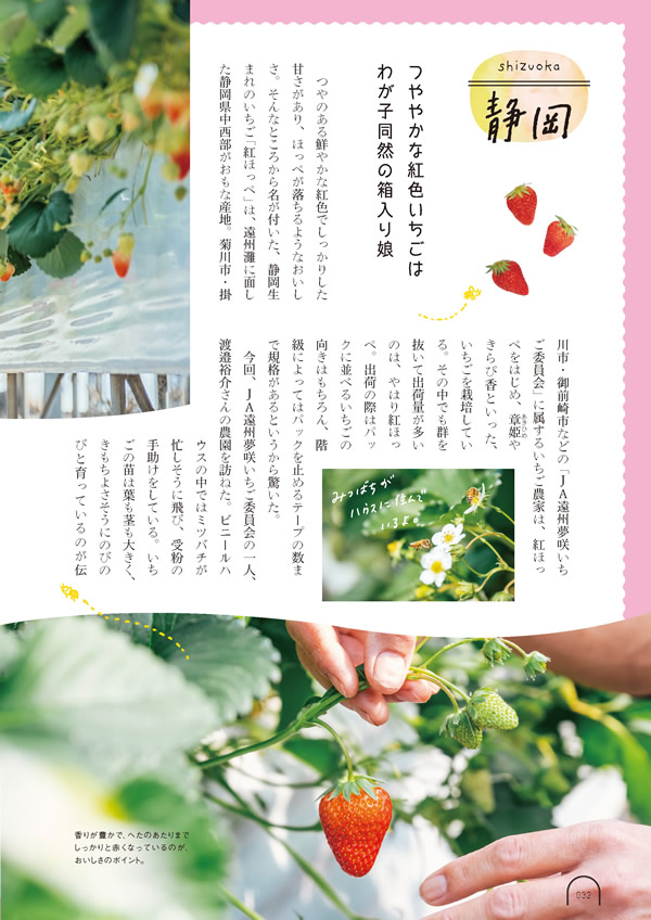 カタログギフト・サンプル：umashima（うましま） 3,800円コース 33ページ