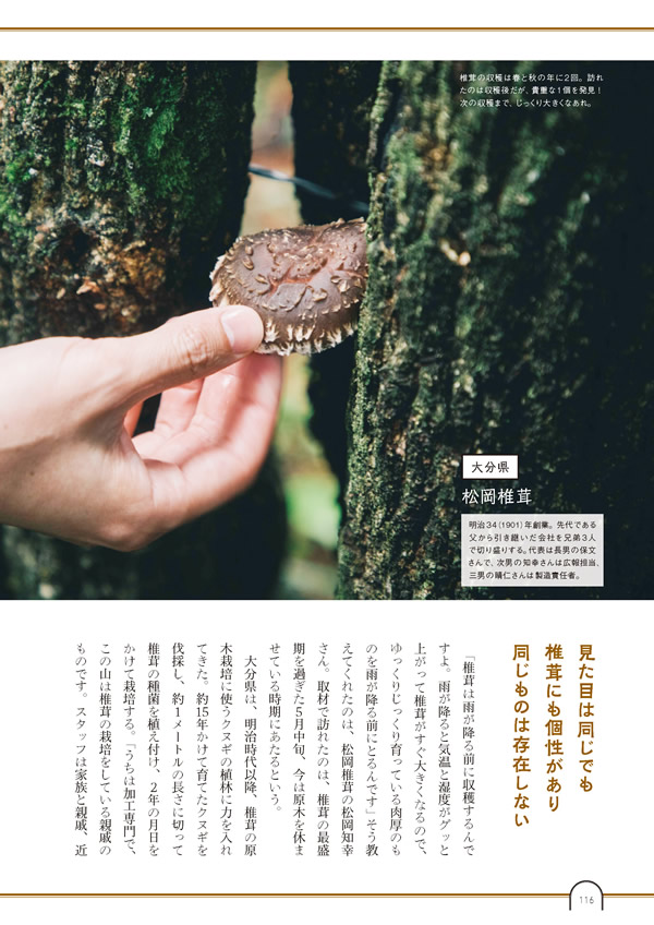 カタログギフト・サンプル：umashima（うましま） 3,800円コース 117ページ