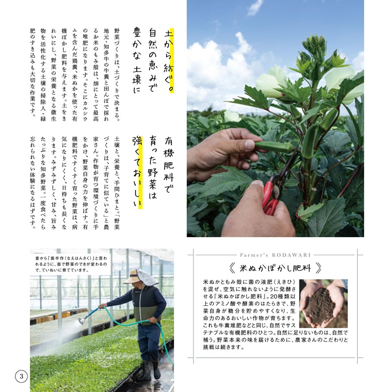 カタログギフト・サンプル：知多農家さんの食卓 16,000円コース 2ページ