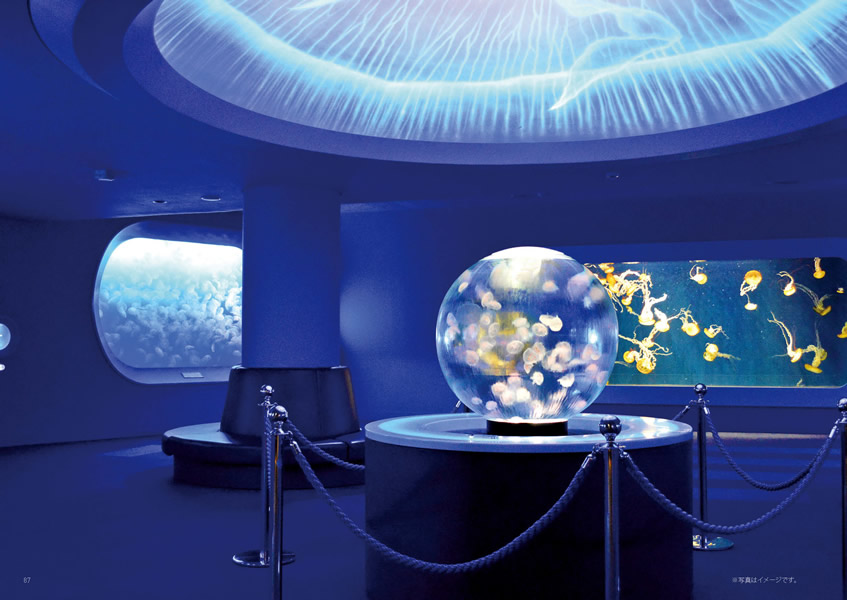 えらんで　3,900円コース