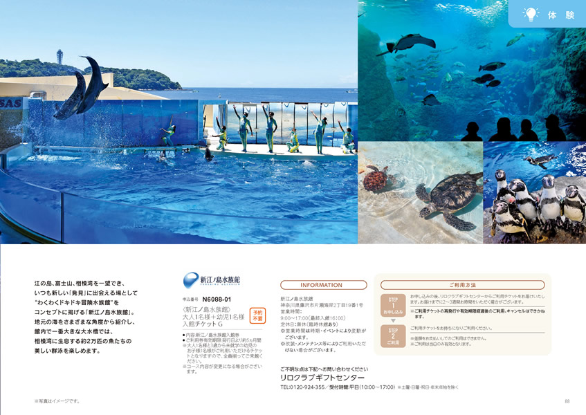 えらんで　3,900円コース