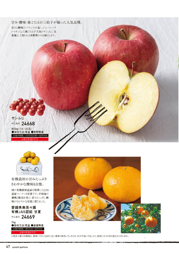 やさしいごちそう　5,200円コース