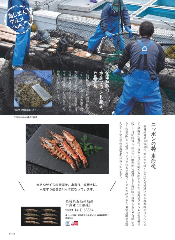 美味グルメ　9,000円コース