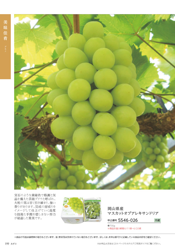 たびもの撰華　20,600円コース