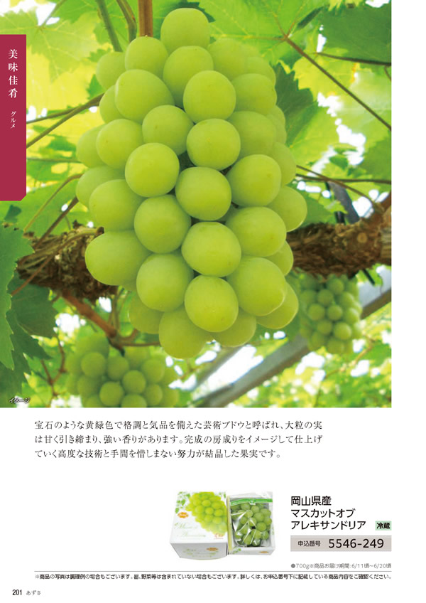 カタログギフト・サンプル：たびもの撰華 20,900円コース 200ページ