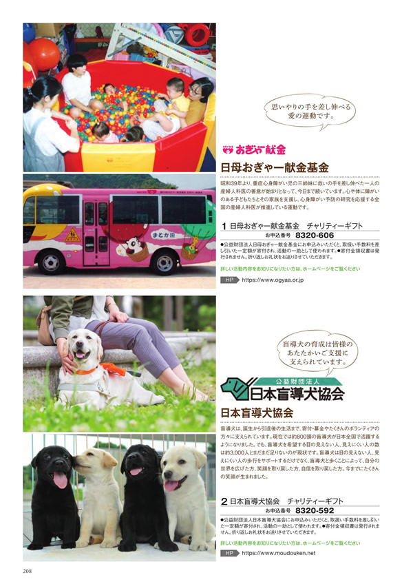 至高　10,900円コース