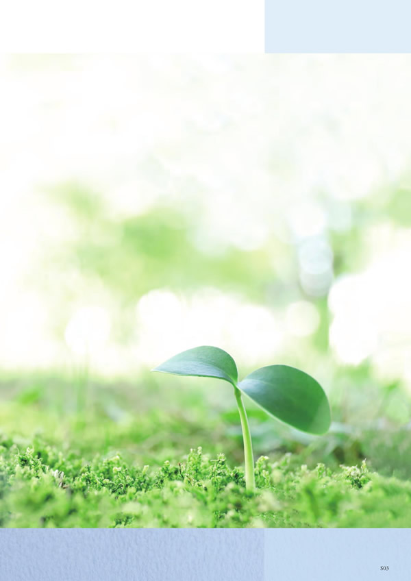 至高　12,900円コース