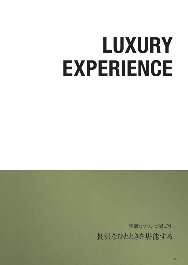 アズユーライク（全用途）　15,900円コース