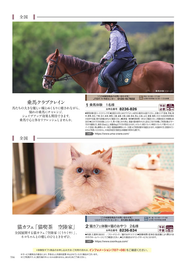 至高　3,900円コース