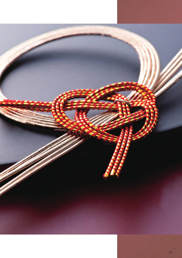 アズユーライク（全用途）　8,900円コース