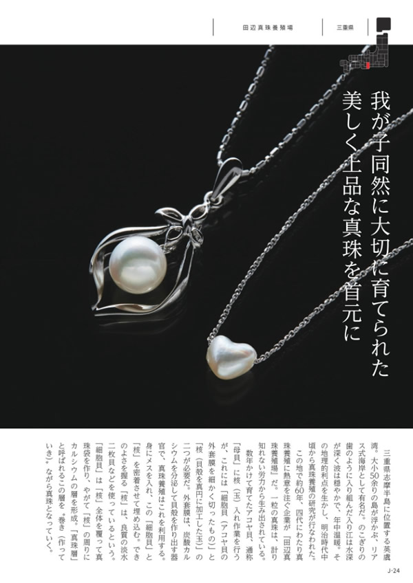 メイドインジャパン　20,900円コース