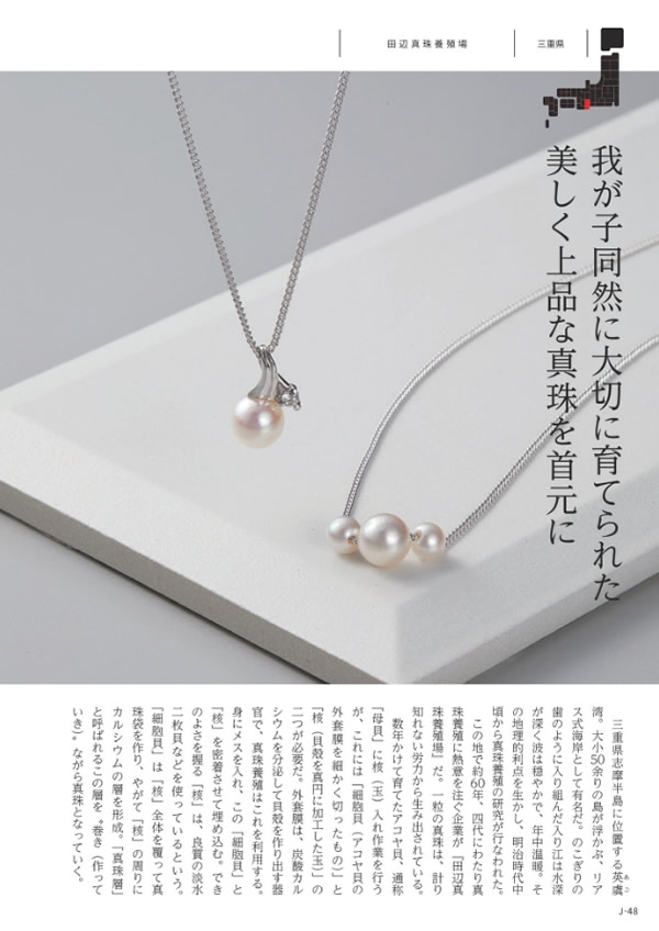 メイドインジャパン　10,900円コース