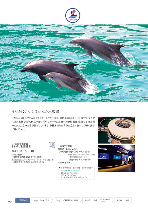 凛　4,900円コース