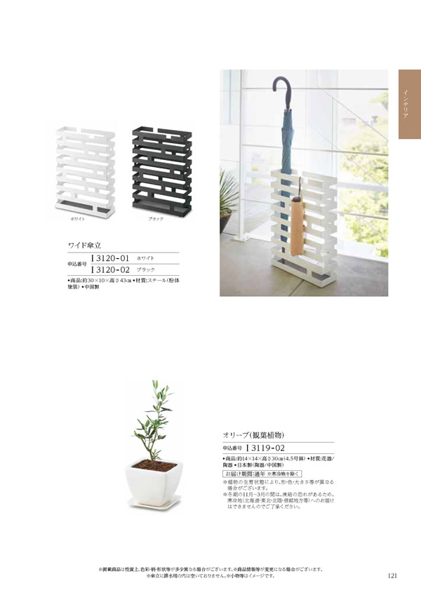 凛　6,900円コース