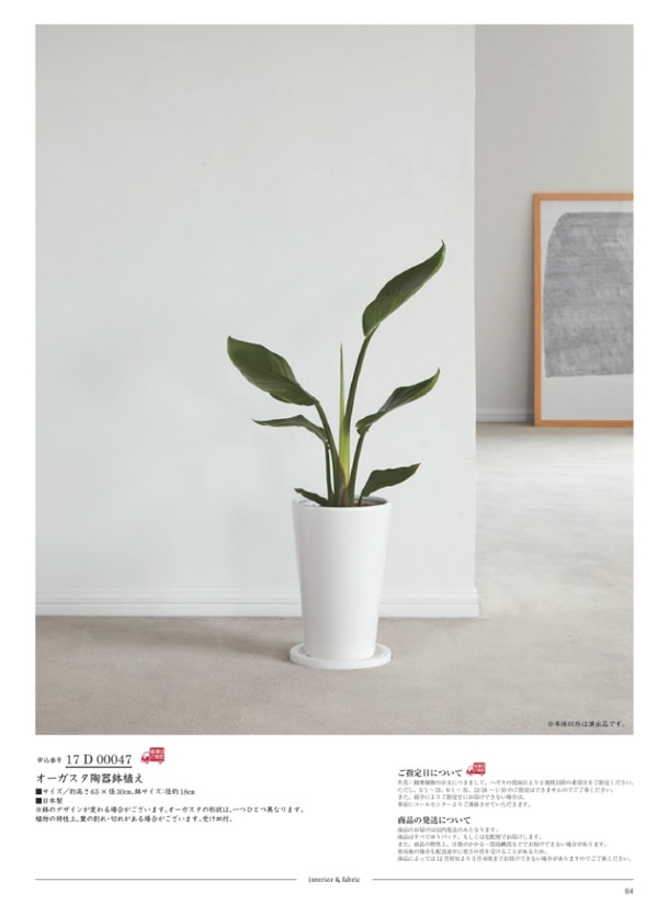 ウルアオ　12,900円コース