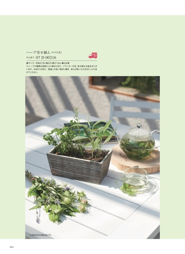 ウルアオ　4,400円コース