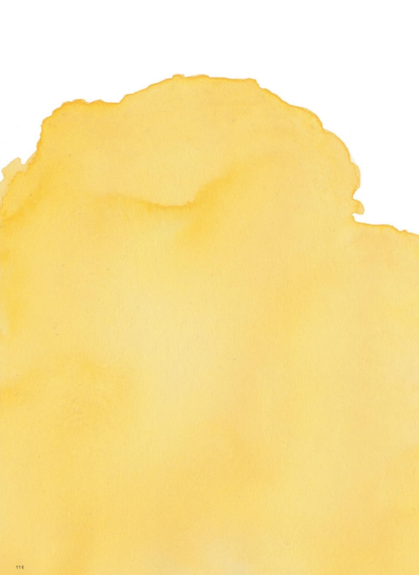 ウルアオ　30,900円コース