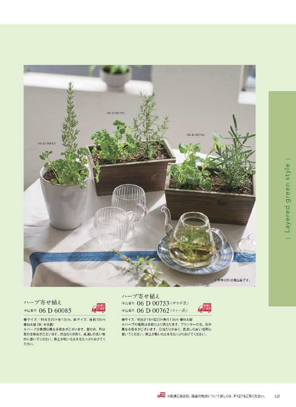 ウルアオ　3,900円コース