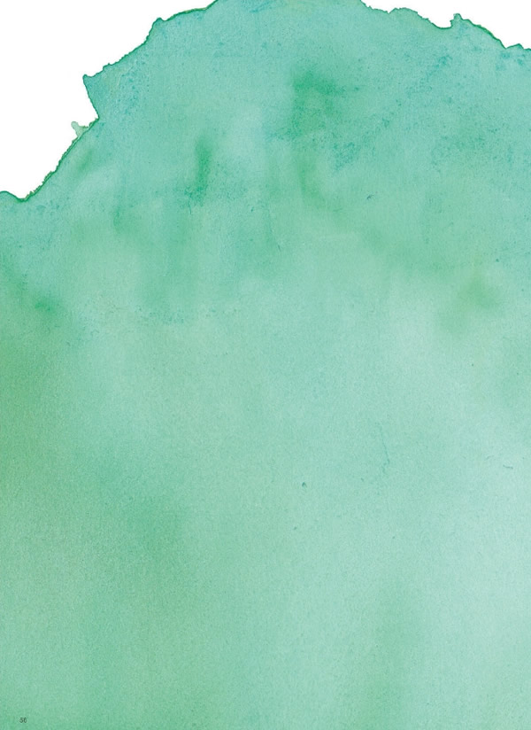 ウルアオ　50,900円コース