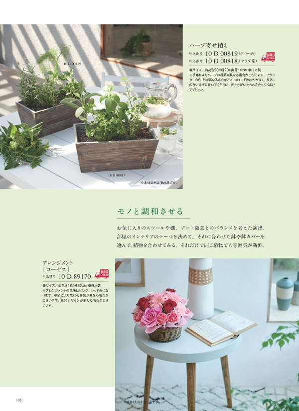 ウルアオ　5,900円コース