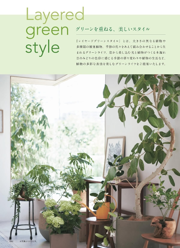 ウルアオ　6,900円コース