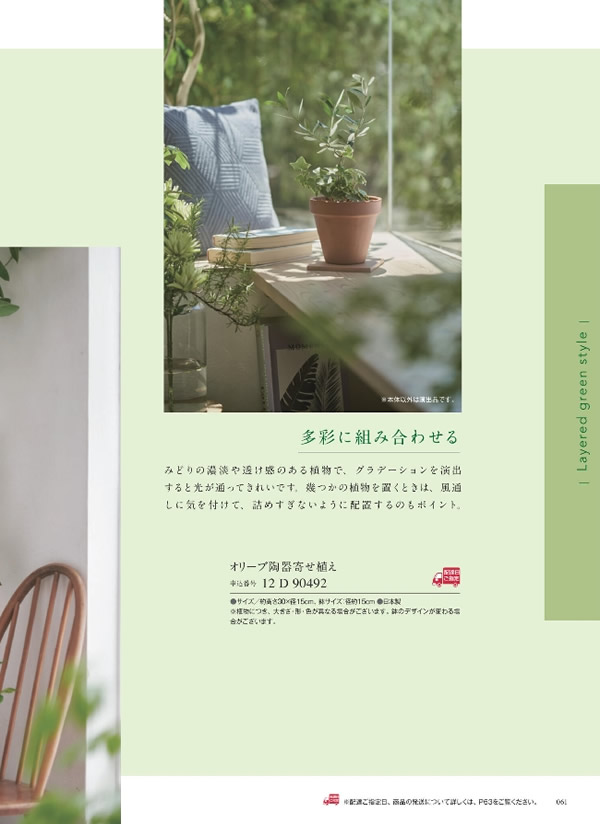 ウルアオ　6,900円コース