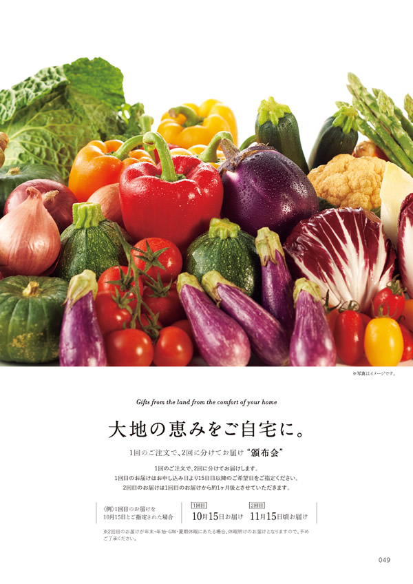 やさしいみらい　10,900円コース