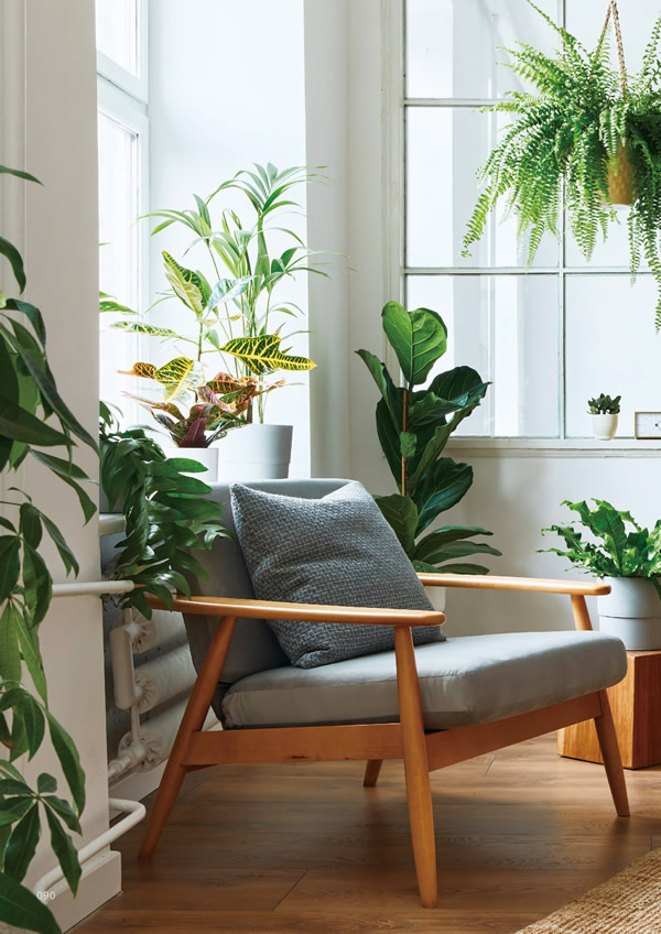 やさしいみらい　10,900円コース