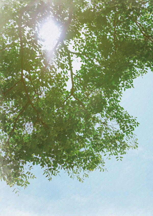 やさしいみらい　20,900円コース