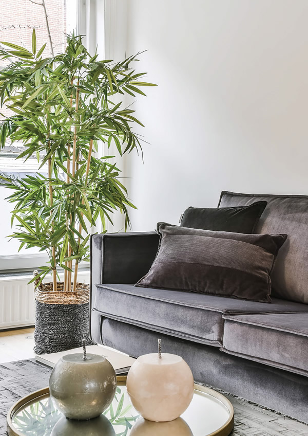 やさしいみらい　20,900円コース