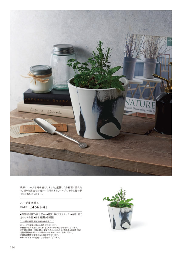 やさしいみらい　5,900円コース